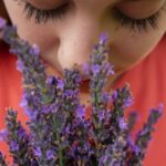 Study Tip: Fragrant for Better Grades